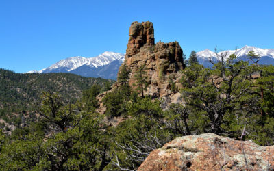 Newsletter 2025 Recap