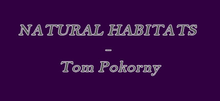 natural habitats-2