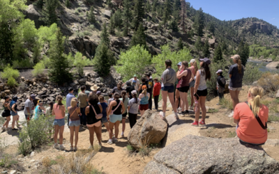 June 2026 Newsletter