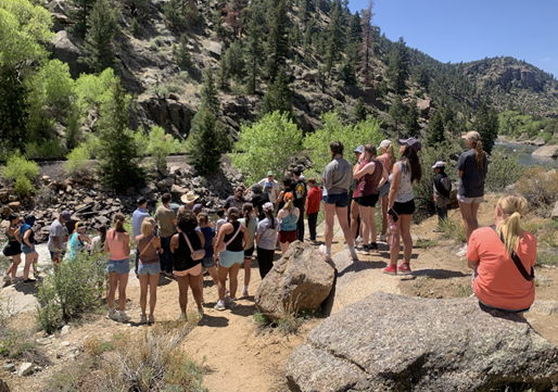 June 2026 Newsletter